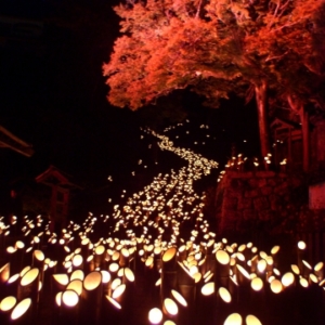 大阪gardenのサプライズプロポーズ たけた竹灯籠　竹楽