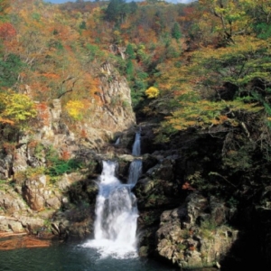 大阪gardenのサプライズプロポーズ 三段峡