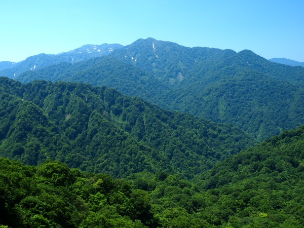 神戸のサプライズプロポーズ 白神山地