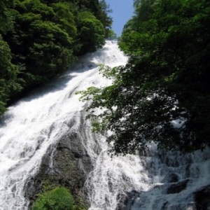 大阪gardenのサプライズプロポーズ 湯滝