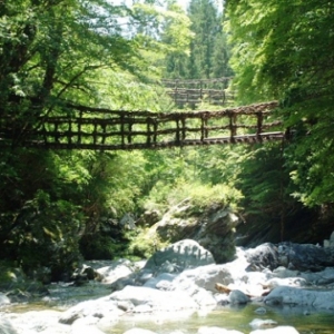 大阪gardenのサプライズプロポーズ 奥祖谷二重かずら橋