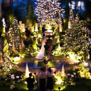 大阪gardenのサプライズプロポーズ 淡路夢舞台温室 奇跡の星の植物館
