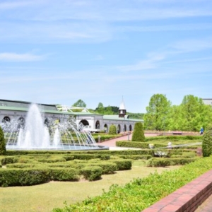 大阪gardenのサプライズプロポーズ 神戸フルーツフラワーパーク