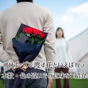 プロポーズで渡す花といえばバラ2