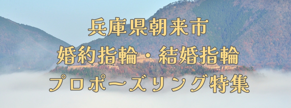 兵庫県朝来市婚約指輪・結婚指輪・プロポーズリング特集１