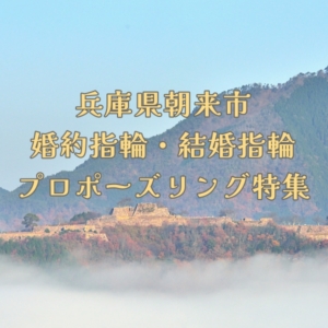 兵庫県朝来市婚約指輪・結婚指輪・プロポーズリング特集2