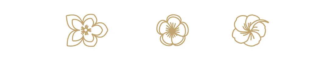 ハワイアンマイレ