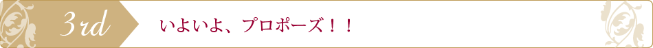 ダイヤモンドだけ先に選ぶ銀の指輪プラン